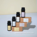 Private label 10ml fragrance oil